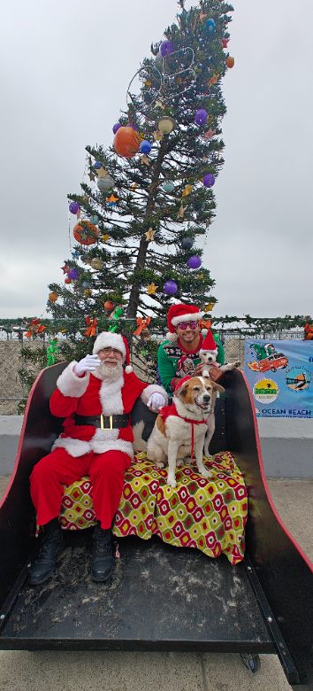 Holiday dog photo at Ocean Beach